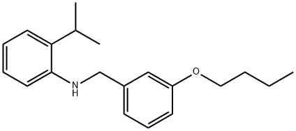 N-(3-Butoxybenzyl)-2-isopropylaniline 구조식 이미지