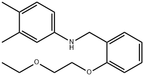 N-[2-(2-Ethoxyethoxy)benzyl]-3,4-dimethylaniline 구조식 이미지