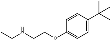 N-{2-[4-(tert-Butyl)phenoxy]ethyl}-N-ethylamine 구조식 이미지