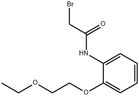 2-Bromo-N-[2-(2-ethoxyethoxy)phenyl]acetamide 구조식 이미지