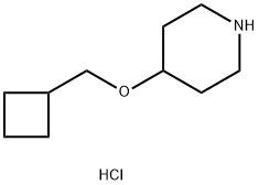 4-(Cyclobutylmethoxy)piperidine hydrochloride 구조식 이미지