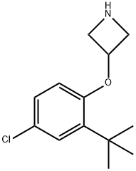 3-[2-(tert-Butyl)-4-chlorophenoxy]azetidine Structure