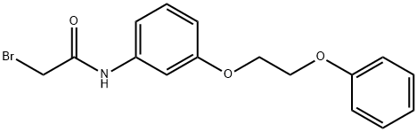 2-Bromo-N-[3-(2-phenoxyethoxy)phenyl]acetamide Structure