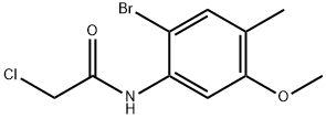 N-(2-Bromo-5-methoxy-4-methylphenyl)-2-chloroacetamide 구조식 이미지