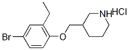 3-[(4-Bromo-2-ethylphenoxy)methyl]piperidinehydrochloride Structure