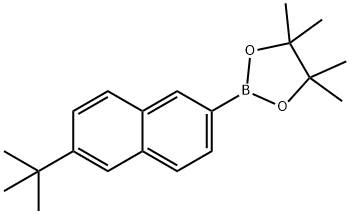 6-t-Butylnaphthalen-2-boronic acid pinacol ester Structure