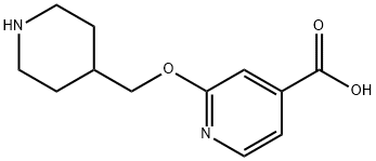 2-(piperidin-4-ylmethoxy)isonicotinic acid 구조식 이미지