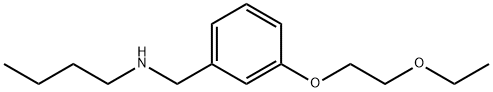 N-[3-(2-Ethoxyethoxy)benzyl]-1-butanamine 구조식 이미지