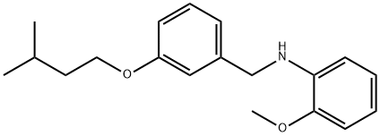 N-[3-(Isopentyloxy)benzyl]-2-methoxyaniline 구조식 이미지