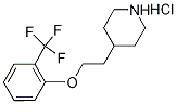 4-{2-[2-(Trifluoromethyl)phenoxy]ethyl}piperidinehydrochloride Structure