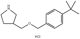 4-(tert-Butyl)benzyl 3-pyrrolidinylmethyl etherhydrochloride 구조식 이미지
