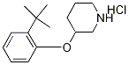 3-[2-(tert-Butyl)phenoxy]piperidine hydrochloride 구조식 이미지