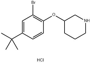 3-[2-Bromo-4-(tert-butyl)phenoxy]piperidinehydrochloride Structure