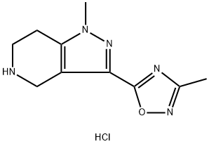 1-Methyl-3-(3-methyl-1,2,4-oxadiazol-5-yl)-4,5,6,7 -tetrahydro-1H-pyrazolo[4,3-c]pyridine HCl 구조식 이미지