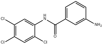 3-AMINO-N-(2,4,5-TRICHLOROPHENYL)BENZAMIDE 구조식 이미지