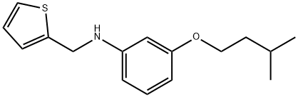 3-(Isopentyloxy)-N-(2-thienylmethyl)aniline 구조식 이미지
