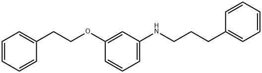 3-(Phenethyloxy)-N-(3-phenylpropyl)aniline 구조식 이미지