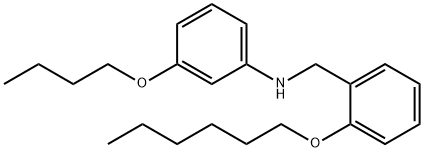 3-Butoxy-N-[2-(hexyloxy)benzyl]aniline Structure