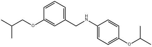 N-(3-Isobutoxybenzyl)-4-isopropoxyaniline 구조식 이미지