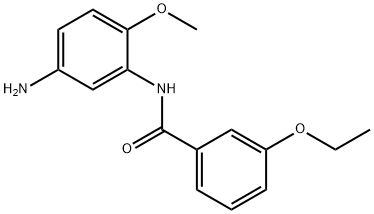 N-(5-Amino-2-methoxyphenyl)-3-ethoxybenzamide 구조식 이미지