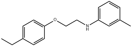 N-[2-(4-Ethylphenoxy)ethyl]-3-methylaniline 구조식 이미지