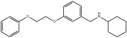 N-[3-(2-Phenoxyethoxy)benzyl]cyclohexanamine 구조식 이미지