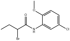 2-bromo-N-(5-chloro-2-methoxyphenyl)butanamide 구조식 이미지