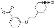 Methyl 3-[2-(4-piperidinyl)ethoxy]benzoatehydrochloride 구조식 이미지