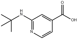 2-(tert-Butylamino)isonicotinic acid Structure