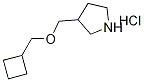 Cyclobutylmethyl 3-pyrrolidinylmethyl etherhydrochloride 구조식 이미지