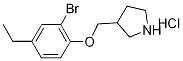 3-[(2-Bromo-4-ethylphenoxy)methyl]pyrrolidinehydrochloride Structure