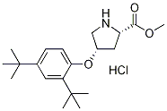 Methyl (2S,4S)-4-[2,4-di(tert-butyl)phenoxy]-2-pyrrolidinecarboxylate hydrochloride 구조식 이미지