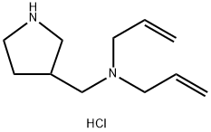N-Allyl-N-(3-pyrrolidinylmethyl)-2-propen-1-aminedihydrochloride 구조식 이미지