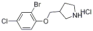 3-[(2-Bromo-4-chlorophenoxy)methyl]pyrrolidinehydrochloride Structure