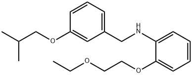 2-(2-Ethoxyethoxy)-N-(3-isobutoxybenzyl)aniline 구조식 이미지