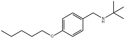 2-Methyl-N-[4-(pentyloxy)benzyl]-2-propanamine 구조식 이미지