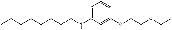 3-(2-Ethoxyethoxy)-N-octylaniline 구조식 이미지