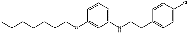 N-(4-Chlorophenethyl)-3-(heptyloxy)aniline 구조식 이미지