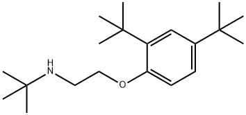 N-{2-[2,4-Di(tert-butyl)phenoxy]ethyl}-2-methyl-2-propanamine Structure