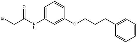 2-Bromo-N-[3-(3-phenylpropoxy)phenyl]acetamide 구조식 이미지