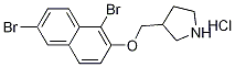 3-{[(1,6-Dibromo-2-naphthyl)oxy]-methyl}pyrrolidine hydrochloride 구조식 이미지