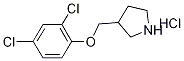 3-[(2,4-Dichlorophenoxy)methyl]pyrrolidinehydrochloride 구조식 이미지