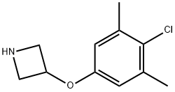 3-(4-Chloro-3,5-dimethylphenoxy)azetidine 구조식 이미지