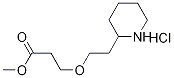 Methyl 3-[2-(2-piperidinyl)ethoxy]propanoatehydrochloride 구조식 이미지