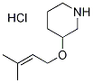 3-[(3-Methyl-2-butenyl)oxy]piperidinehydrochloride Structure