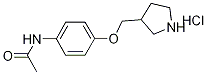 N-[4-(3-Pyrrolidinylmethoxy)phenyl]acetamidehydrochloride Structure