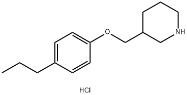 3-[(4-Propylphenoxy)methyl]piperidinehydrochloride Structure