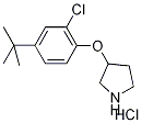 3-[4-(tert-Butyl)-2-chlorophenoxy]pyrrolidinehydrochloride 구조식 이미지