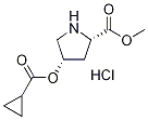 Methyl (2S,4S)-4-[(cyclopropylcarbonyl)oxy]-2-pyrrolidinecarboxylate hydrochloride Structure