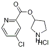 3-Pyrrolidinyl 4-chloro-2-pyridinecarboxylatehydrochloride 구조식 이미지